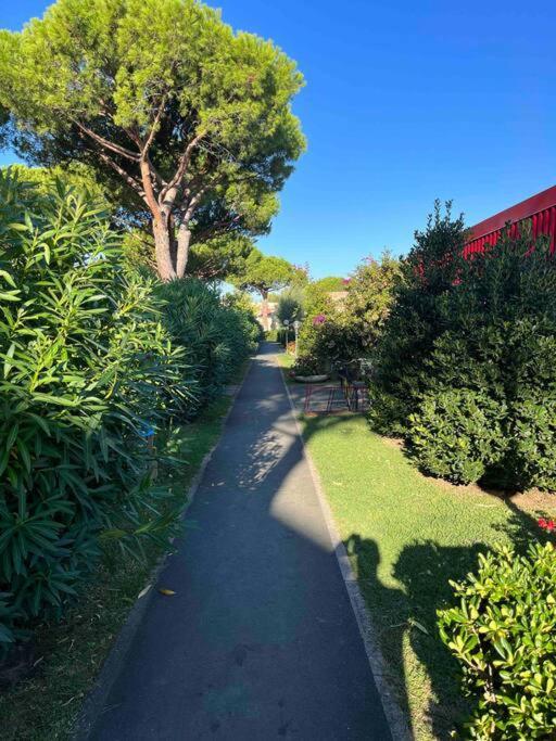 Casina Mare Bibbona Leilighet Marina Di Bibbona Eksteriør bilde